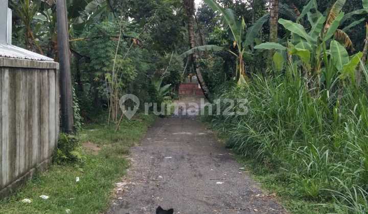 Land Freehold In Payangan Ubud Bali