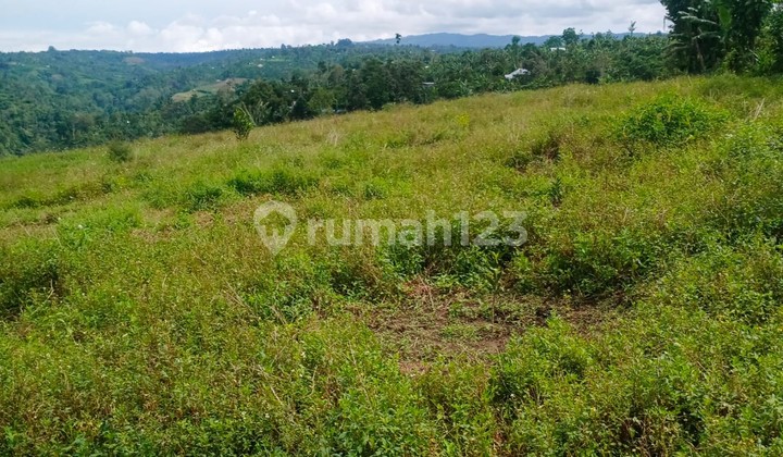 Freehold Land 16,000 sqm in Kintamani, Bali