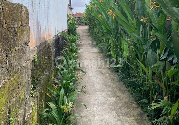 Villa Rental 2 Bedrooms In Mambal Close Ubud Bali