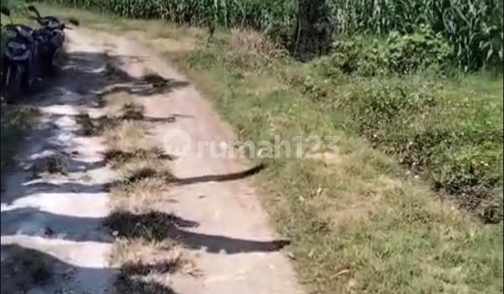 Tanah Hak Milik 2955 m² Dekat Pantai di Area Tabanan