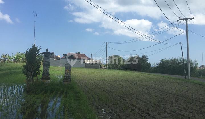 Freehold Land Main Road 1790 Sqm in Yeh Gangga Bali