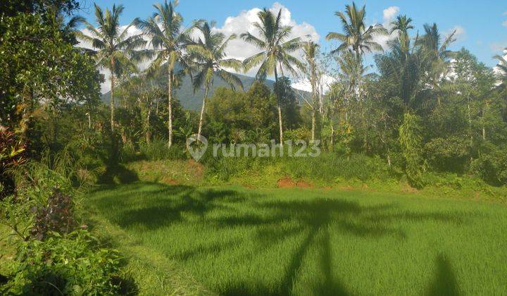 Absolute Natural Set 7450 Sqm Freehold Land in Sanda Tabanan Bali 1