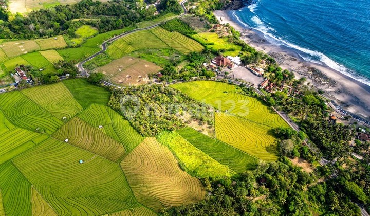 Land Freehold Close Soka Beach Tabanan Bali