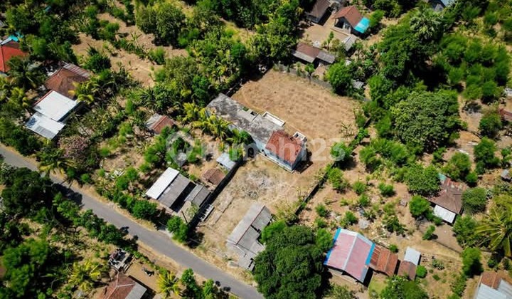 Land Freehold Close Beach In Singaraja Bali