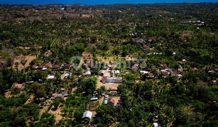 Land Freehold Close Beach In Singaraja Bali