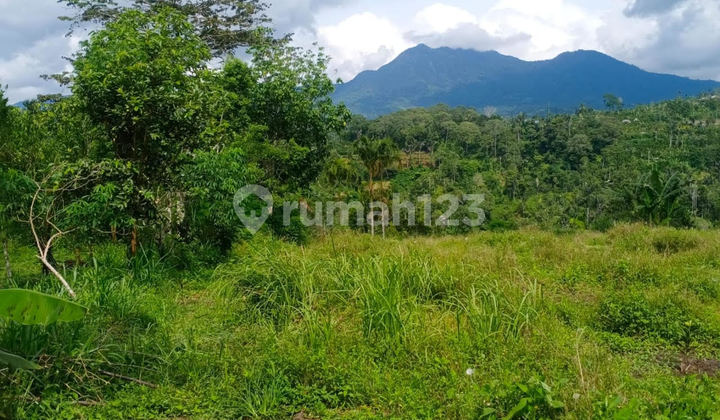 Freehold Land 16,000 sqm in Kintamani, Bali