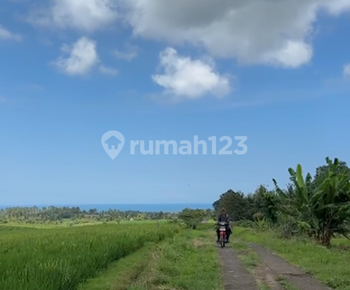Land Freehold With Mountain View In Tabanan Bali