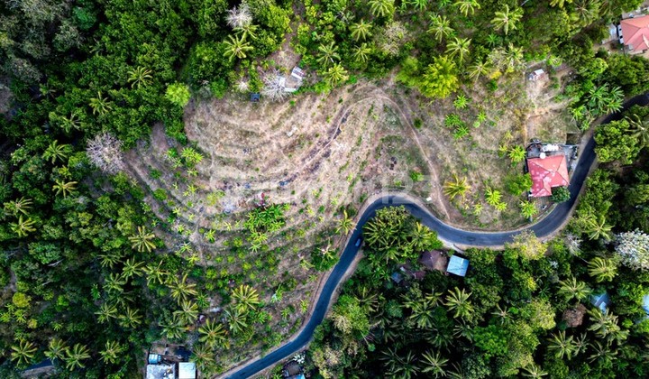 Land Freehold With View In Madenan Tejakula Bali