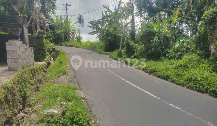 Freehold Land in a Great Location in Gianyar, Bali Freehold Land in a Great Location in Gianyar, Bali