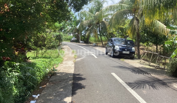 Land In Maid Road Lumbung Selemadeg Barat Tabanan Bali