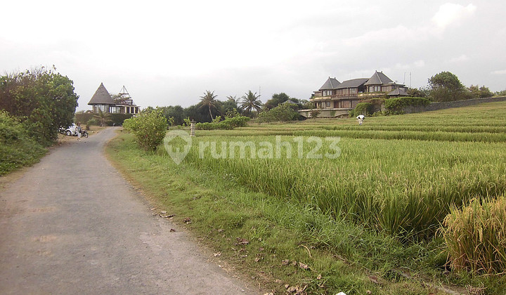 Land 5180 Sqm Beach Front In Tabanan Bali