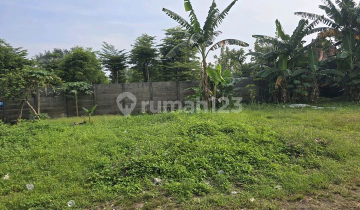 Ready to Build Plot.In a complex