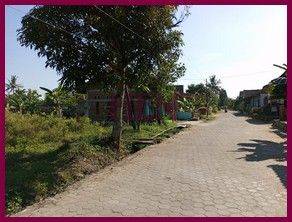 Tanah Murah Jogja Dekat Sma N 1 Godean, SHM Pekarangan 2