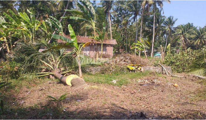 Jual Tanah Temon Kulon Progo Dekat Balai Desa Kulur, SHM 2