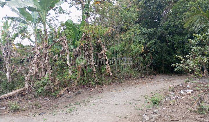 Tanah Murah Sleman di Cangkringan, Dekat Pasar Jangkang, SHM 2
