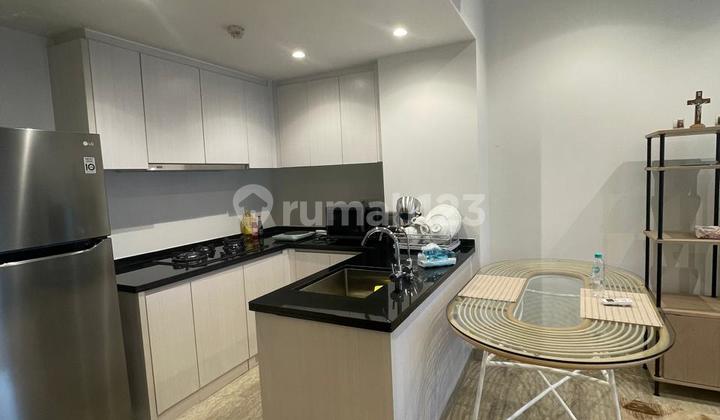Disewakan Apartemen Pet Friendly Tipe 2br Di Bsd Disewakan Apartemen Pet Friendly Tipe 2br Di Bsd