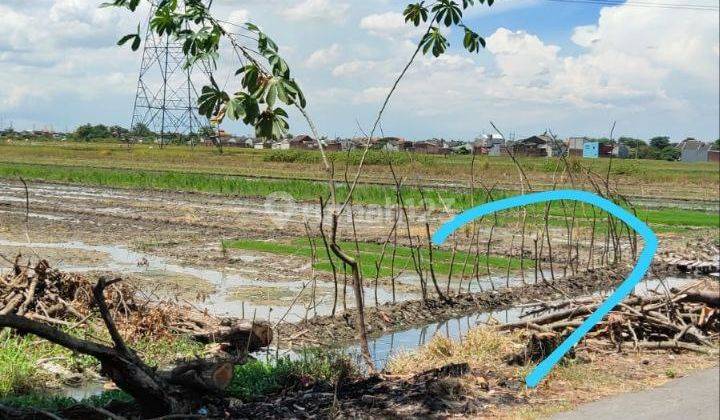 Tanah Murah Krian Watugolong Sidoarjo 2