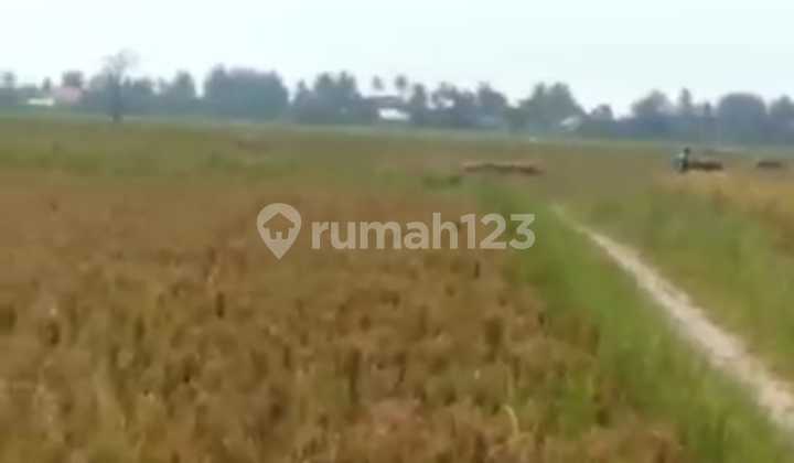 Dijual Lahan di Tambelang, Bekasi 3