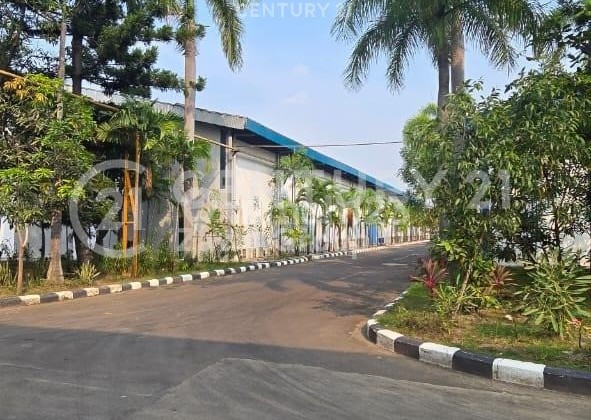 Warehouse For Rent in Cikande Industrial Zone, Serang Banten
