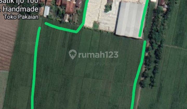 Jual Lahan Gratis Gudang Area Demak Jawa Tengah 1