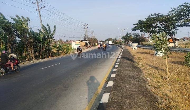 Lahan Untuk Kawasan Industri Brebes 1200 Ha 1