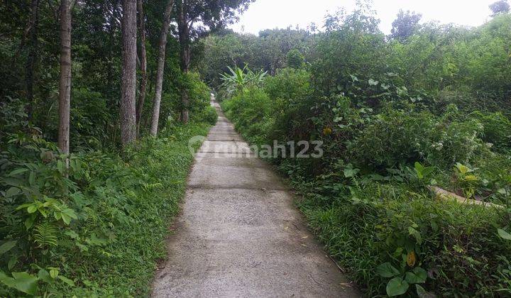 Tanah Kebun di Bandungan Semarang 8500m2 Shm 2