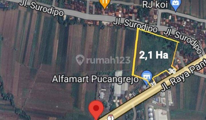 Tanah Untuk Gudang Dan Pabrik 2,1 Ha di Kendal Jalan Utama Pantura 1