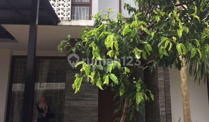 Rumah Asri di Discovery Lumina Bintaro Jaya Rumah Asri di Discovery Lumina Bintaro Jaya