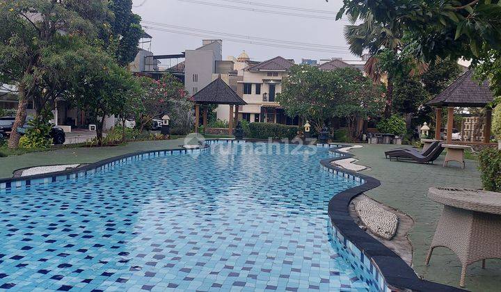 Rumah Depan Kolam Renang di cluster Edinburg Puri Mansion 1