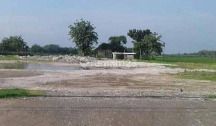 Strategis untuk perumahan atau gudang di prambon sidoarjo 1