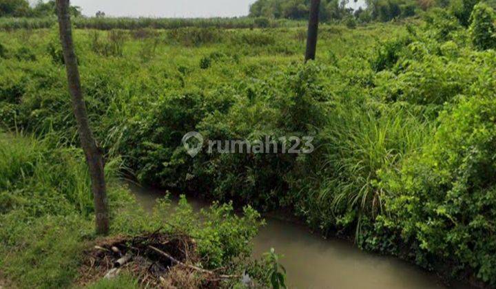 Dekat raya krembung tulangan wonomlati sidoarjo sebelah gudang 1