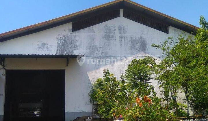 Gudang palawija dekat pabrik rokok ares Sukorejo pasuruan 2