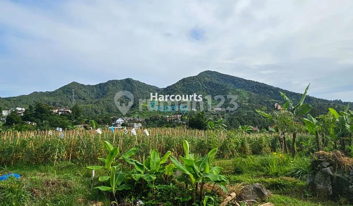 HOT LISTING Puncak Area, Dijual Tanah Puncak Bogor view ke Gunung langsung Cocok Banget Untuk Resort/Villa