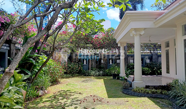 For Rent Large and Serene House on Jl. Jeruk Purut