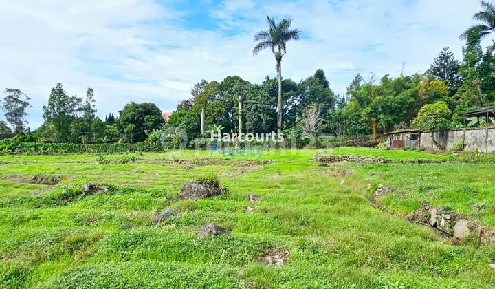 HOT LISTING Puncak Area, Dijual Tanah Puncak Bogor view ke Gunung langsung Cocok Banget Untuk Resort/Villa