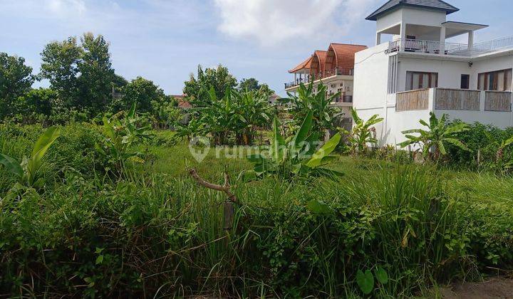 Cheap land in Ungasan, good location, suitable for guest houses and villas 2