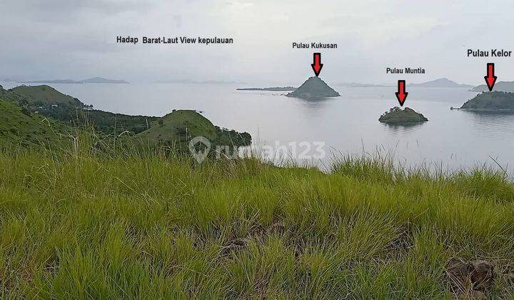 Jarang Ada Tanah di Lokasi Pengembangan Wisata Labuan Bajo Desa Macang Tanggar 1