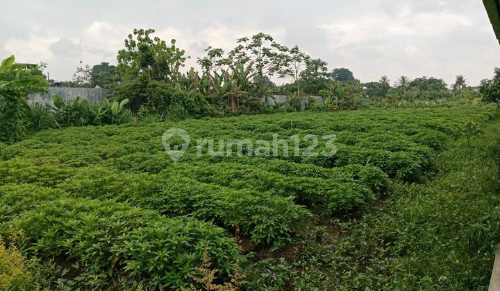 Tanah Komersial Cocok Buat Rumah Cluater