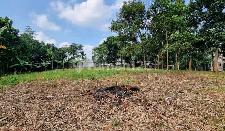 Tanah Buat Cluster dan Perumahan