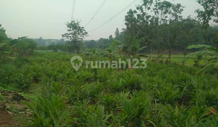 Tanah Siap Bangun Perumahan dan Investasi Tanah Siap Bangun Perumahan dan Investasi