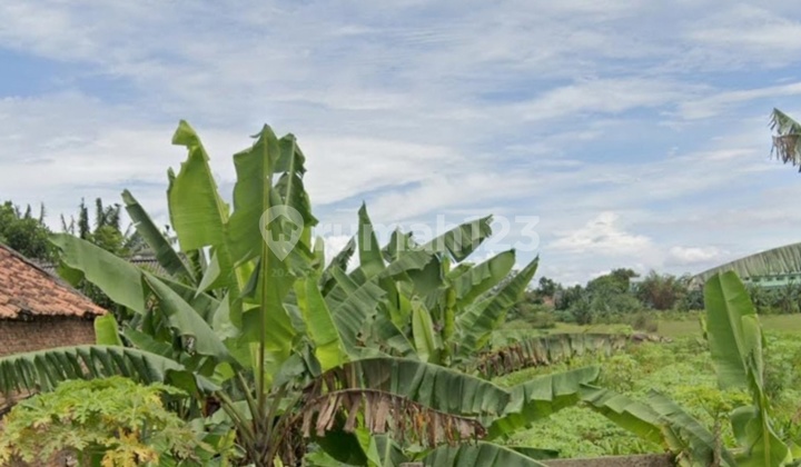 Land Ready for Industrial Plant, Warehousing, and Other Uses