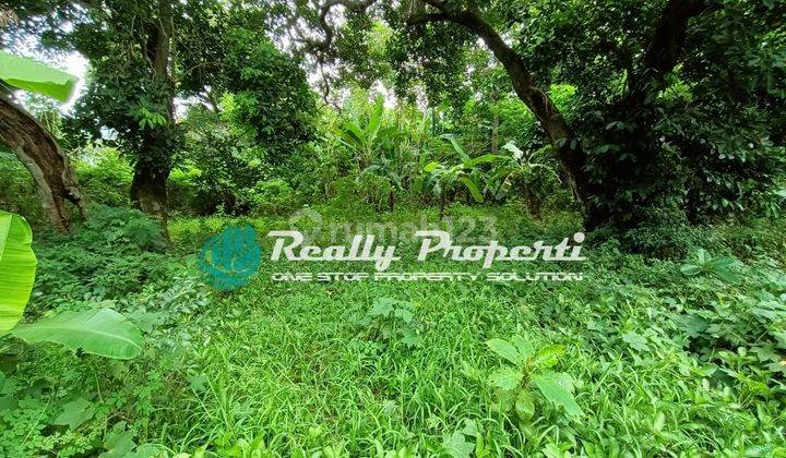 Tanah di Jual Jatikramat Jatiasih Bekasi Shm 3