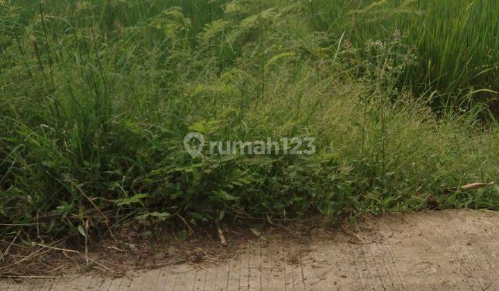 Lahan Nilai Investasi Tinggi di Sukawangi Kabupaten Bekasi 2