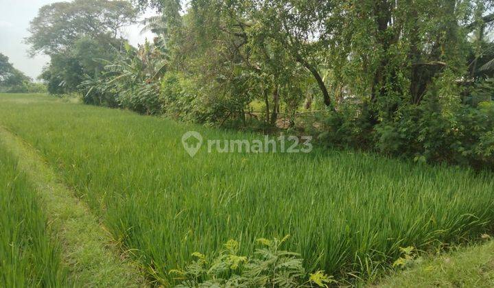 Lahan Nilai Investasi Tinggi di Sukawangi Kabupaten Bekasi 3