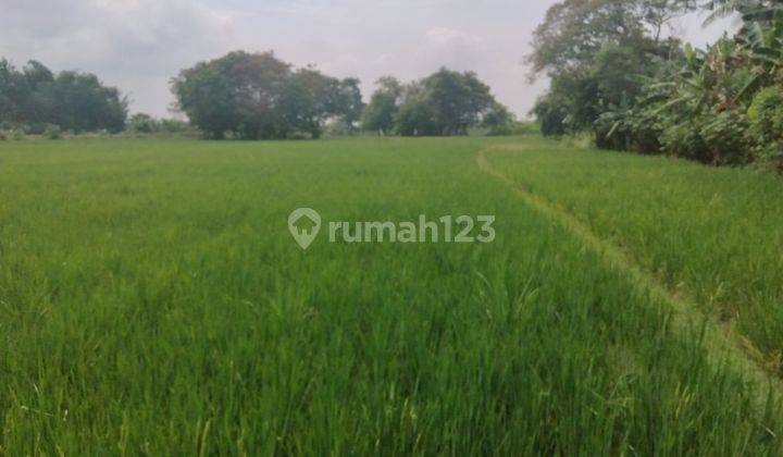 Lahan Nilai Investasi Tinggi di Sukawangi Kabupaten Bekasi 4
