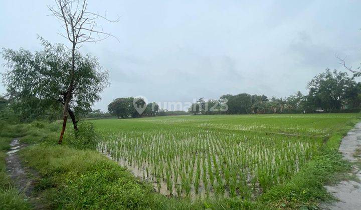 Lahan Nilai Investasi Tinggi di Sukawangi Kabupaten Bekasi 1