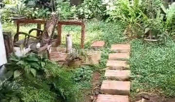 DI JUAL RUMAH TUA HITUNGAN TANAH LUAS TANAH 500 METER² SIAP PAKAI BEBAS BANJIR KEAMANAN AMAN 24 JAM. 2