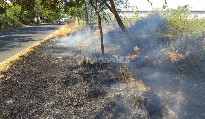 Tanah di Desa Kandangan, Gresik Sertifikat Hak Milik 39.704 m² 2