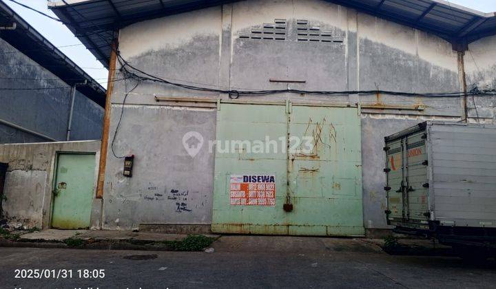 disewakan kapuk kayu besar dalam @kapuk kamal jakarta utara 300m2 1