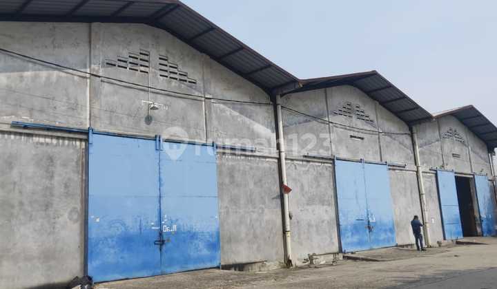 Disewakan Gudang Miami